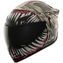 アイコン ICON 2024年モデル フルフェイスヘルメット DOMAIN GRAND MAW グレー 3XLサイズ 0101-17300 JP店