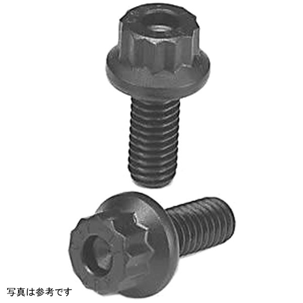  ARP フォード Modular V8 (M10) Cam Bolt Kit arp256-1002 JP店
