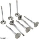【USA在庫あり】 GSC P-D Audi V10 5.2L 27mm Head STD 101.8mm Long クローム Polished Alloy Exhaust Valve - Set of 10 gsc2251-10 JP店(2)