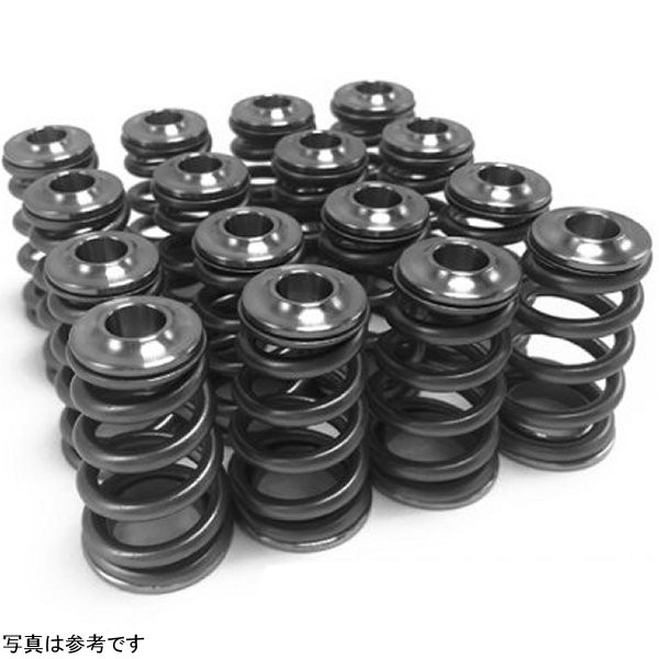  GSC P-D スバル EJ Single Conical Valve Spring Titanium Retainer & Spring Seat Kit gsc5073 JP店
