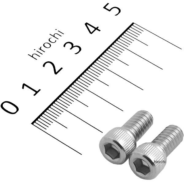 ポッシュ POSH キャップボルト 1/4インチ-20 x 1/2インチ 861404 JP店