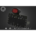 ガレージT&F サイドナンバーキット&ミディアムキャッツアイテールランプ(LED)ブラック+ステー W400、W650、W800 SN03522 JP店