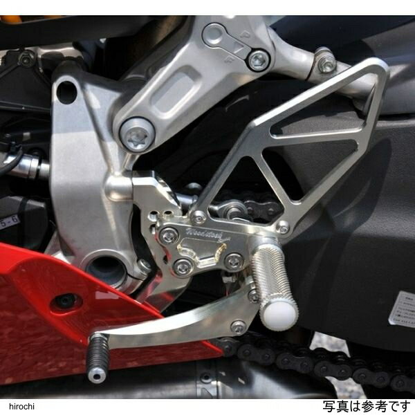 ウッドストック DUCATI 1199Panigale バックステップキット オールシルバー WBS-D03-SL JP店