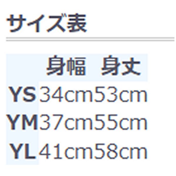 【メーカー在庫あり】 ファストハウス FASTHOUSE オリジナルズ ACジャージ ユース ...