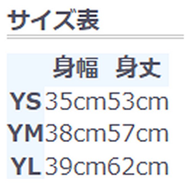 【メーカー在庫あり】 ファストハウス FASTHOUSE MTB ユース アロイメサ ショート...
