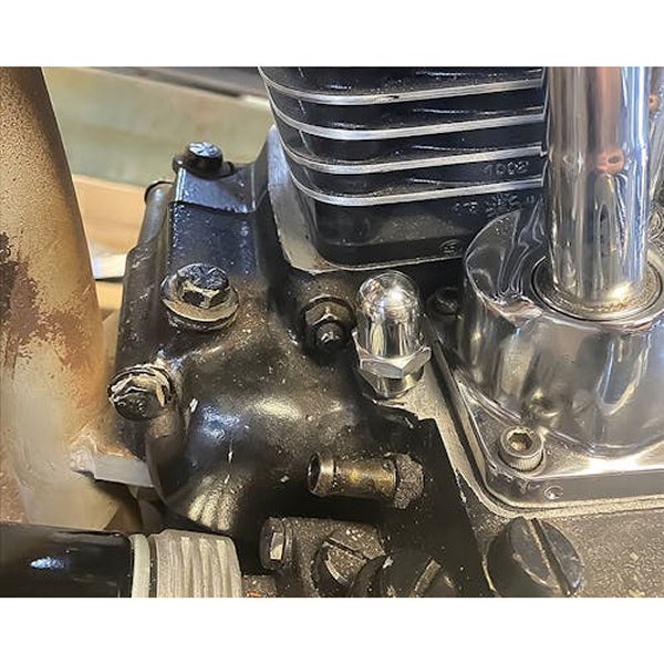 �ڥ᡼�����߸ˤ���� ���ե��̥��� Customcycles ������ץ�å��㡼������ Pop Top SQ8938815 JPŹ