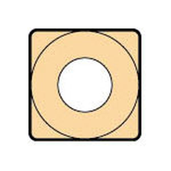 【メーカー在庫あり】 大昭和精機(株) カイザー チップ COAT 10個入り SCMP070204EFM JP