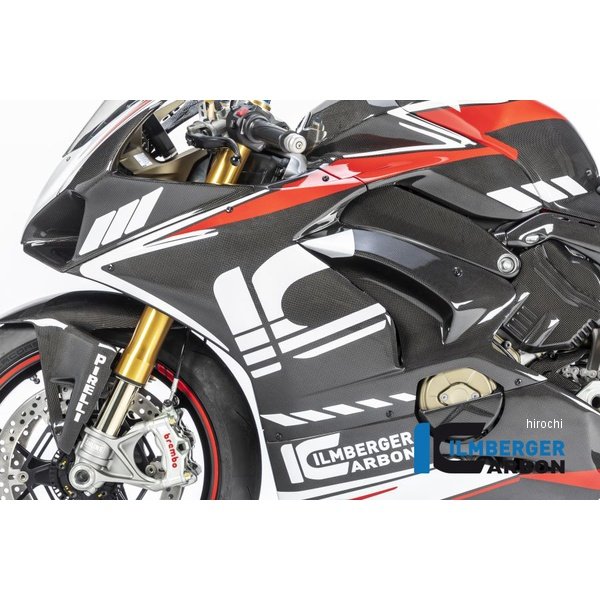 イルムバーガー Ilmberger レーシング用フェアリングサイドパネル 左側 艶あり Panigare V4S 18-19 VEL.053.D4RAG.K-PanigareV4S JP店