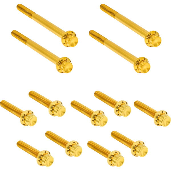  アレンネス Arlen Ness HARDWARE KIT TITANUIM 12PT PRIMARY カバー GOLD 2401-1733 JP店