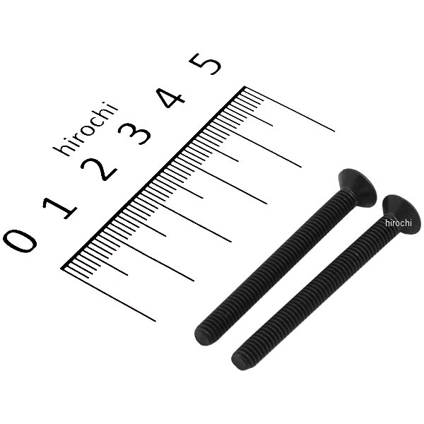 【メーカー在庫あり】 キタコ マスターシリンダーCAPビス(黒) 2PC 0900-043-02002 JP店