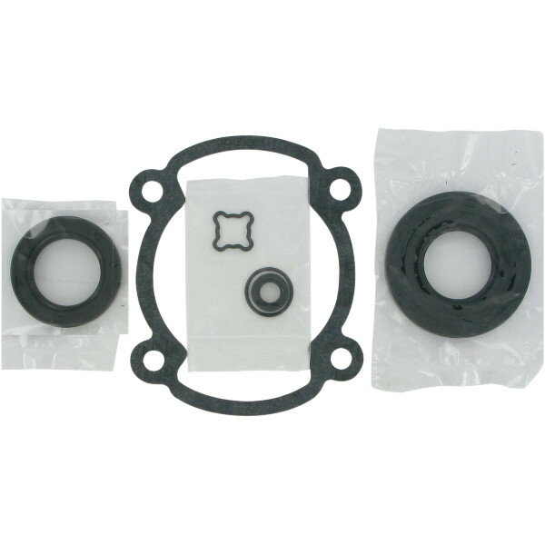 ��USA�߸ˤ���� Winderosa ����ץ꡼�ȥ������åȥ��å� Ski-Doo FC ���󥰥� 250cc G164 JPŹ