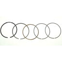 【USA在庫あり】 WSM ピストンリングセット 98年-00年 ホンダ TRX300 FourTrax 74mm 0912-0477 JP店