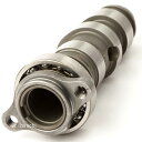 【USA在庫あり】 ホットカム HOT CAMS カムシャフト IN 10.4mm 254°EX 9.1mm 265°08年-09年 ホンダ TRX450ER 0925-0257 JP店