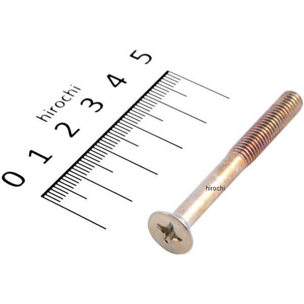 カワサキ純正 十字穴付皿小ねじ 6X55 221AA0655 JP店