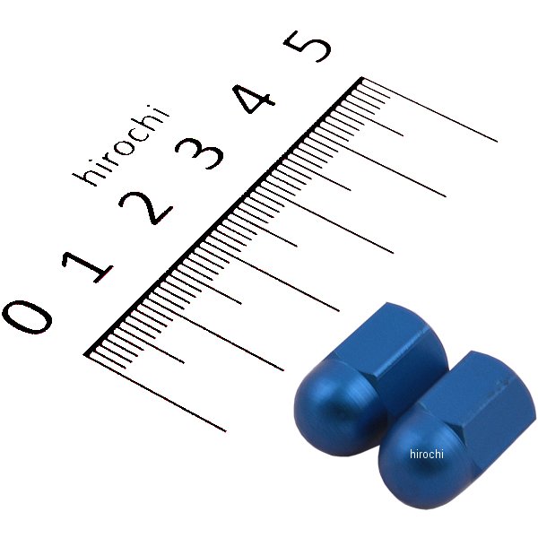 【USA在庫あり】 バーネット Barnett バルブ ステム キャップ 青 2個入り DS-181193 JP店