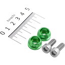 【メーカー在庫あり】 デイトナ プレミアムゾーン ナンバーホルダーセット 汎用 M6 ライムグリーン 91948 JP店
