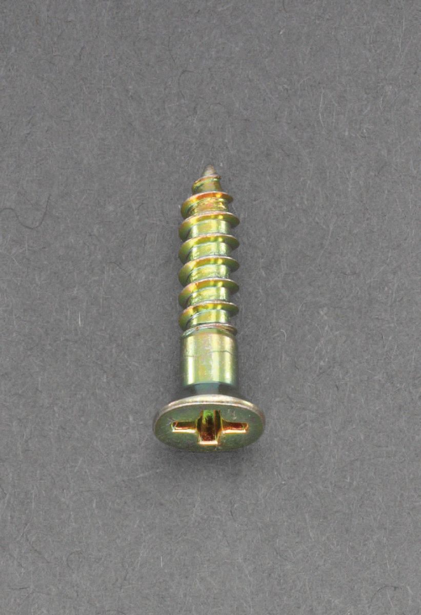 【メーカー在庫あり】 エスコ ESCO M6.2x25mm 皿頭木ねじ 鉄クロメート/12本 000012243194 JP