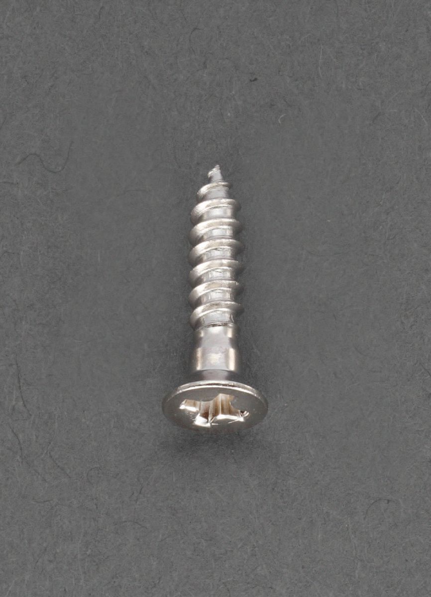 【メーカー在庫あり】 エスコ ESCO M3.8x20mm 皿頭木ねじ 真鍮製/9本 000012243234 JP