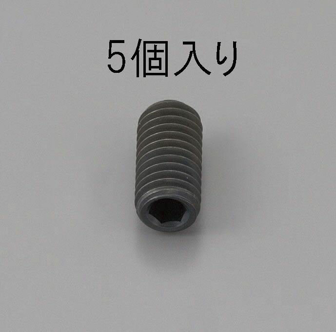 Rakuten - 【メーカー在庫あり】 エスコ ESCO M10x30mm 六角穴付止ねじ クロメート/5本 000012220847 JP店