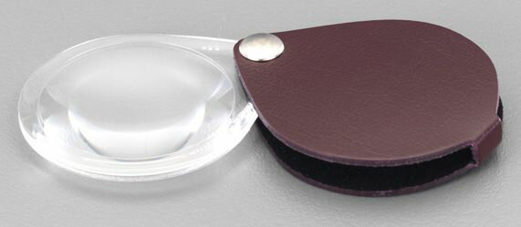 【メーカー在庫あり】 エスコ ESCO x6.0/30mm ハンディールーペ 000012074169 JP店