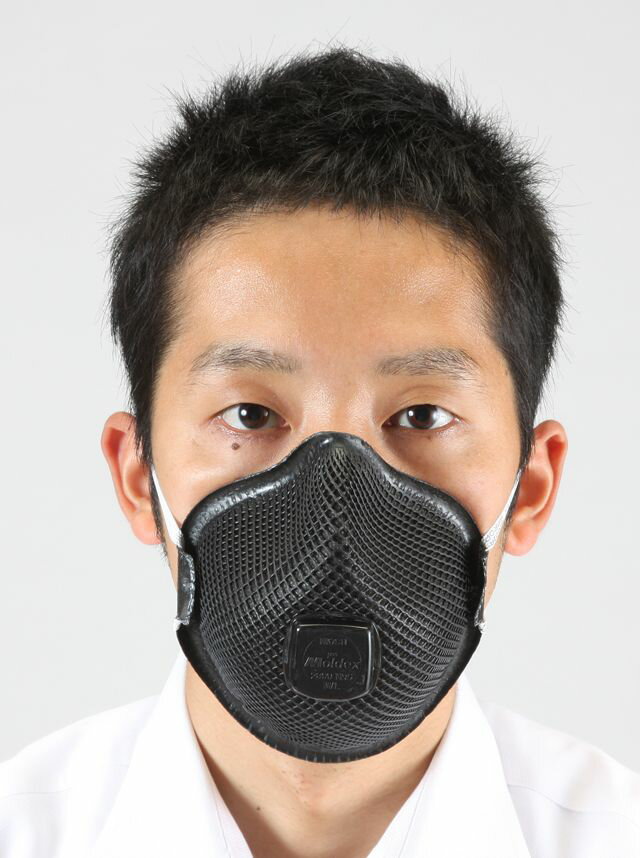 【メーカー在庫あり】 エスコ ESCO N 95 マスク 防塵防臭用/10枚 000012089235 JP店