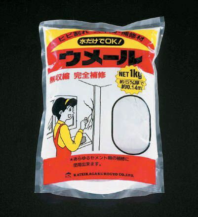Repair Agents - 【メーカー在庫あり】 エスコ ESCO 1.0kg ひび割れ補修材 ホワイト 000012023766 JP店