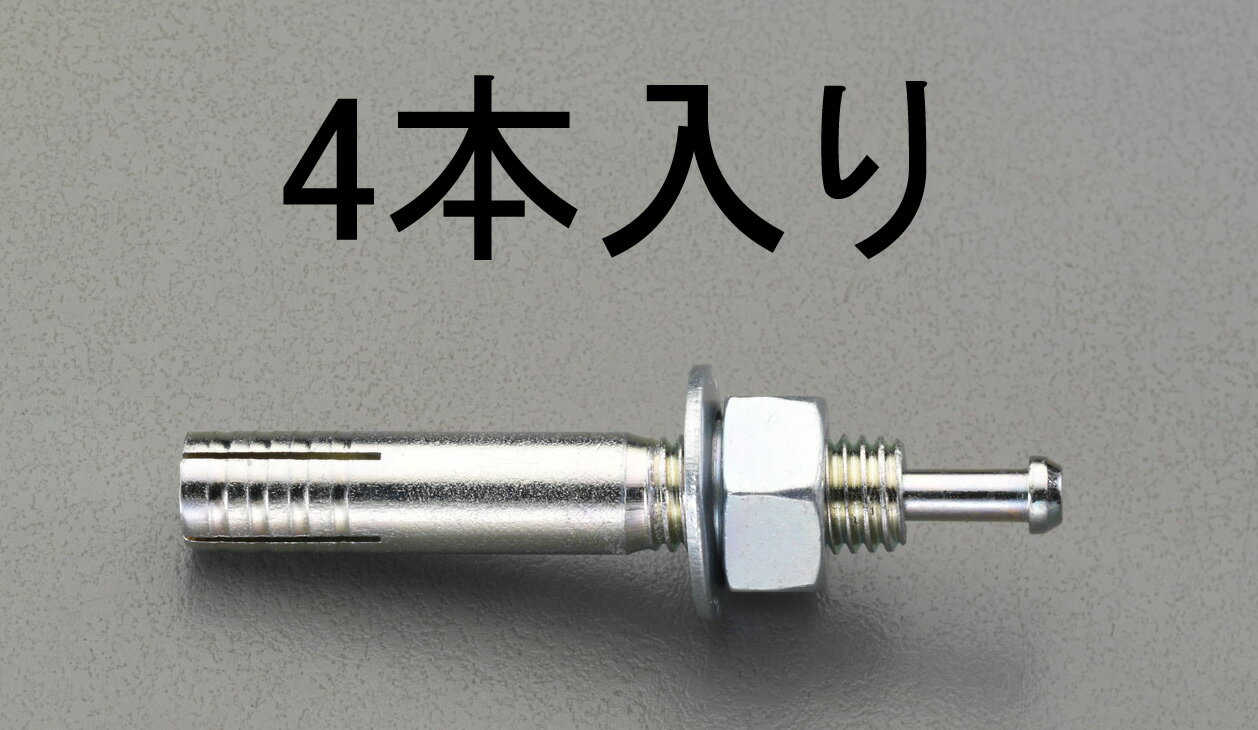 【メーカー在庫あり】 エスコ ESCO M10x100mm オスねじアンカー 4本 000012242619 JP