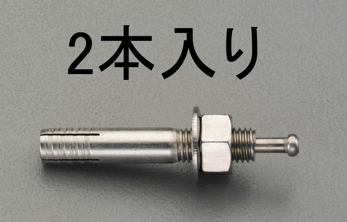 ●材質:ステンレス●ねじサイズ:M10●胴体外径:10.0mm●全長:120mm●ねじ長さ:30mm●下穴径:10.5mm●穿孔深さ:40mm●埋込深さ:35mm●最大荷重(引抜):3610N●最大荷重(せん断):15260N●締付けトルクの目安:27N・m●入数:2本本体に挿入された芯棒をハンマーで打込むことにより本体先端が拡張し、コンクリート孔壁に固着します。施工に特殊な工具を必要としません。本体外径がねじサイズと同じなので、他のアンカーの同じねじサイズの製品に比べ細いドリルによる穿孔で工事が楽です。本体外径がねじサイズと同じなので、取付物の上から施工でき、位置ずれの問題が発生しません。コンクリートへの穿孔深さは指定より深くなっても構わないので穿孔管理が楽です。芯棒を本体頂部に接するまで打込むことにより施工の完了が確認できるので、施工管理が容易です。000012242651　