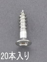 【メーカー在庫あり】 エスコ ESCO 2.1x 10mm 皿頭木ねじ ステンレス製/20本 000012231894 JP