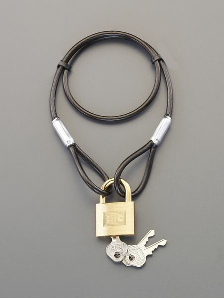 【メーカー在庫あり】 φ4.3x 540mm ワイヤーロック(シリンダー錠 EA983TT-41 JP店