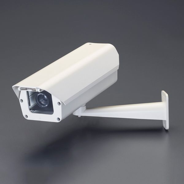 現金特価 メーカー在庫あり エスコ Esco 防犯用ダミーカメラ Ea864cd 1 Jp店 最高の Saosebastiao Se Df Gov Br