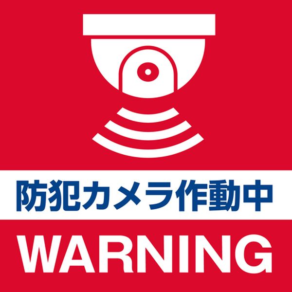 【メーカー在庫あり】 エスコ ESCO 単3x2本 防犯用ダミーカメラ(屋内用/ドーム型) 000012339921 JP店
