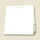 【メーカー在庫あり】 エスコ ESCO 300x210x310mm 紙袋(白無地/50枚) 000012340801 JP店