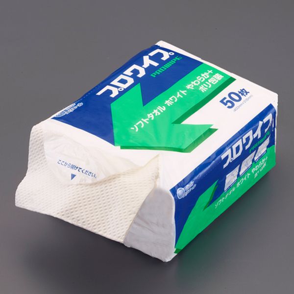 �ڥ᡼�����߸ˤ���� ������ ESCO 400x315mm �����ѥ磻�ѡ�(24�ѥå�) 000012340883 JPŹ