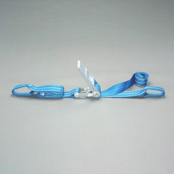 使用荷重：2540kgベルト長：固定側：1m、調整側：4mベルト幅：75mmベルト材質：ポリエステル破断荷重：100kNスチールバックルラチェットバックルは、固定したい荷物に装着し、ラチェットレバーを反復運動させることで強く締め付けることができます。しっかりと荷物を固定したい場合に最適です。入数：1個000012345306楽天 JP店　