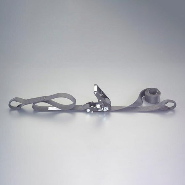 使用荷重：7.5kN(764kg)ベルト長：固定側：1.0m 調整側：6.0mベルト幅：50mmベルト厚み：2.5mm破断荷重：30kN材質：ベルト：ポリエステル バックル：スチール(クロムメッキ)両端アイ型入数：1個000012345387楽天 JP店　