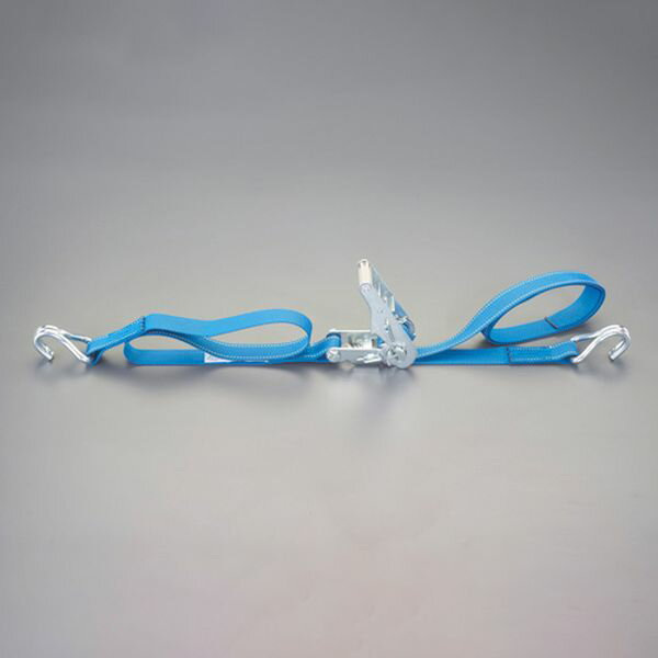 使用荷重：5KN(509kg)ベルト長：固定側：1.0m 調整側：5.0mベルト幅：35mmベルト厚み：2mm破断荷重：20kN材質：ベルト：ポリエステル バックル：スチール(クロムメッキ)両端フック型入数：1個000012345425楽天 JP店　