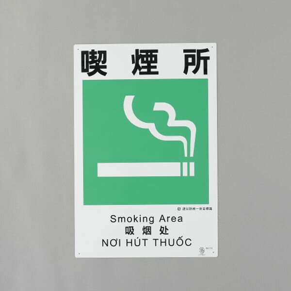 ڥ᡼߸ˤ  ESCO 450x300mm ɰɸ(ʱ) 000012345656 JPŹ