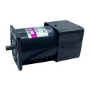 【メーカー在庫あり】 エスコ ESCO AC200V・90W スピードコントロールモーター(インダクション/SR) EA968DB-90 JP店