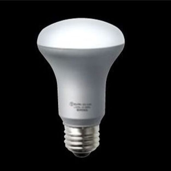 【メーカー在庫あり】 エスコ ESCO AC100V/6W/E26 電球 (LED/レフ形/昼光色) EA758XA-69 JP店 [3]