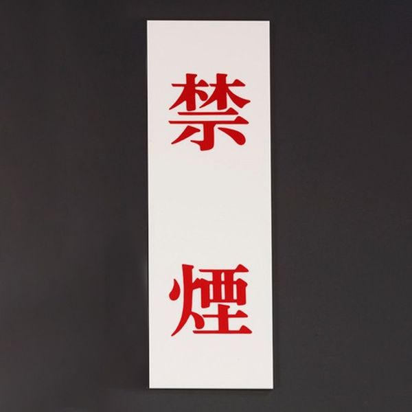 �ڥ᡼�����߸ˤ���� ������ ESCO 250x80mm �ػ�ɸ��[�ر�] EA983BR-244 JPŹ