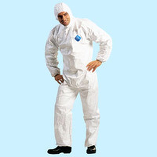 �ڥ᡼�����߸ˤ���� TV2 �ǥ�ݥ� �ǥ�ݥ�(TM) �����٥å���R�� ���եȥ�����2�� ���ԡ����ݸ��� S TV-2 JPŹ