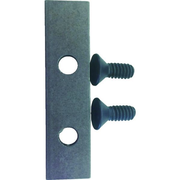 【メーカー在庫あり】 Ridge RIDGID ウエア パッド W/スクリュー F/HC-450 59187 JP店