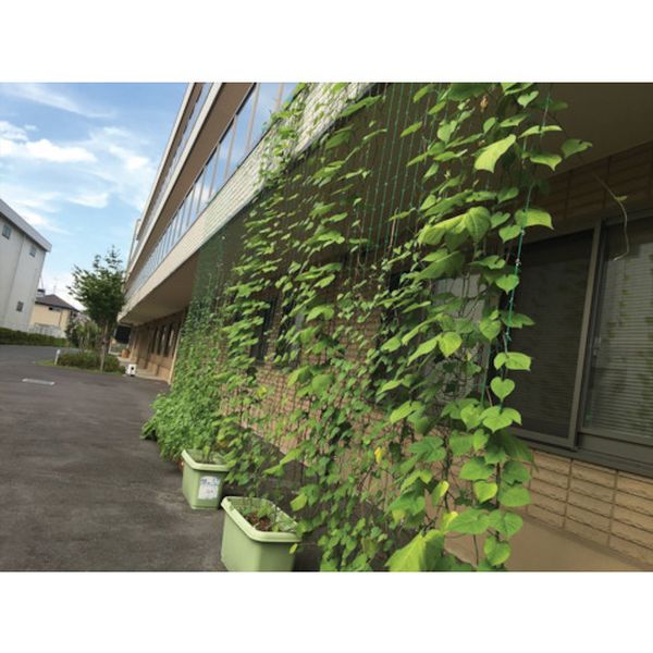 【メーカー在庫あり】 (株)イノベックス Dio つるもの園芸ネット 緑 10cm角目 幅1.8m×長さ3.6m 260985 JP店