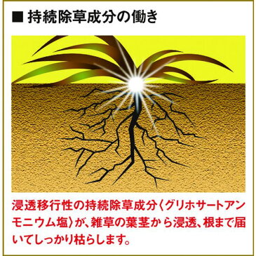 【メーカー在庫あり】 フマキラー(株) フマキラー 除草剤 ”根まで枯らす虫よけ除草王プレミアム” 442045 JP店