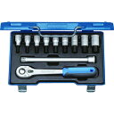 【メーカー在庫あり】 GEDORE社 GEDORE ソケットセット 1/2 IN19Q 6156920 JP店