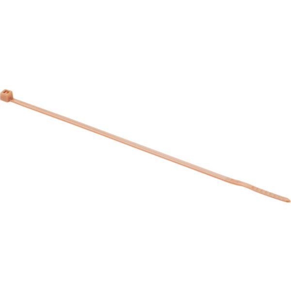 【メーカー在庫あり】 PLT1.5MM1 パンドウイットコーポレーション パンドウイット ナイロン結束バンド 茶 (1000本入) PLT1-5M-M1 JP店