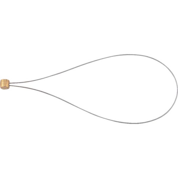 【メーカー在庫あり】 WL170 水戸工機(株) ミトロイ 工具接続ワイヤー ロング WL-170 JP店