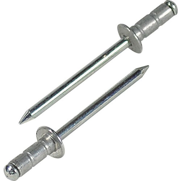 【メーカー在庫あり】 AP64EB (株)ロブテックス エビ APリベット(アルミニウム/スティール製) 6-4(150..