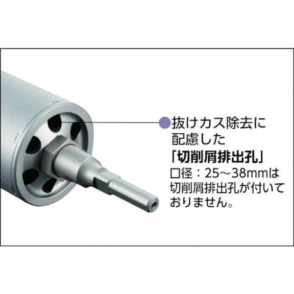 �ڥ᡼�����߸ˤ���� ESF100SDS ��˥�(��) ��˥� ��ñ��ǽ�����ɥ��E��S�� ʣ����� 100mm SDS����� ES-F100SDS JPŹ